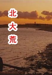 国产色哟哟